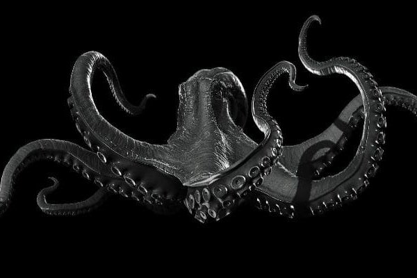 Kraken наркотики