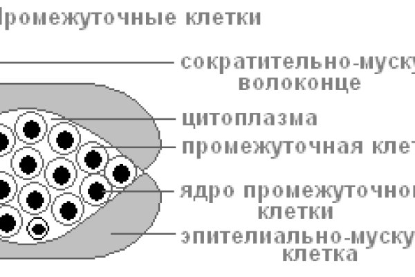 Зеркало на кракен