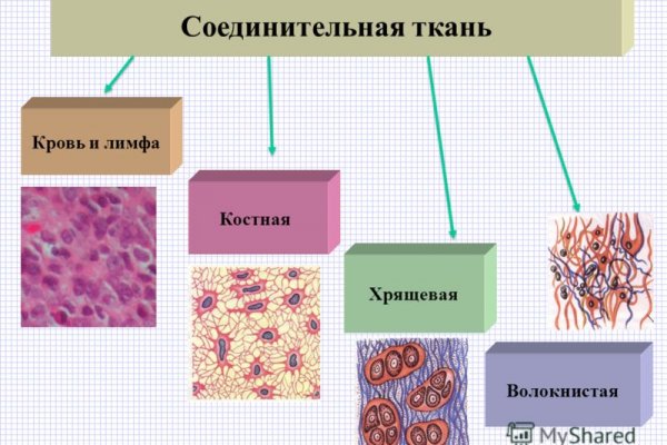 Ссылки на сайты в даркнете