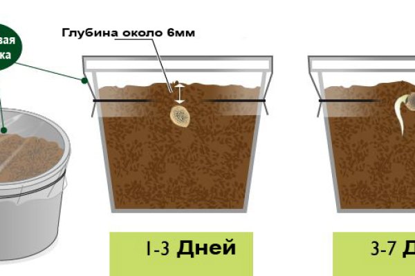 Кракен маркетплейс создатель